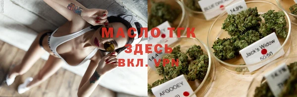 эйфоретик Арсеньев