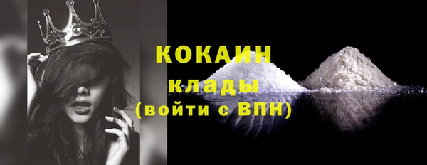 хмурый Алексин