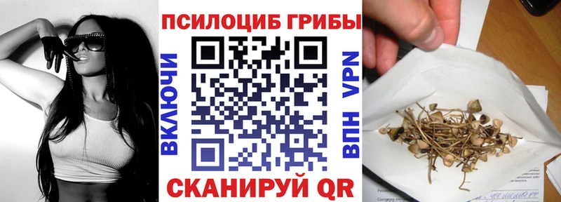 Галлюциногенные грибы Psilocybe  Тайшет 